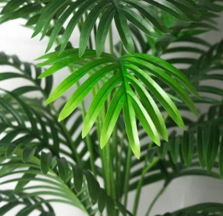 Fausses Plantes Tropicales